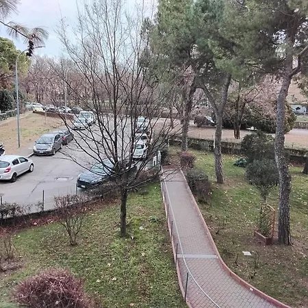 Stadio Free Bike